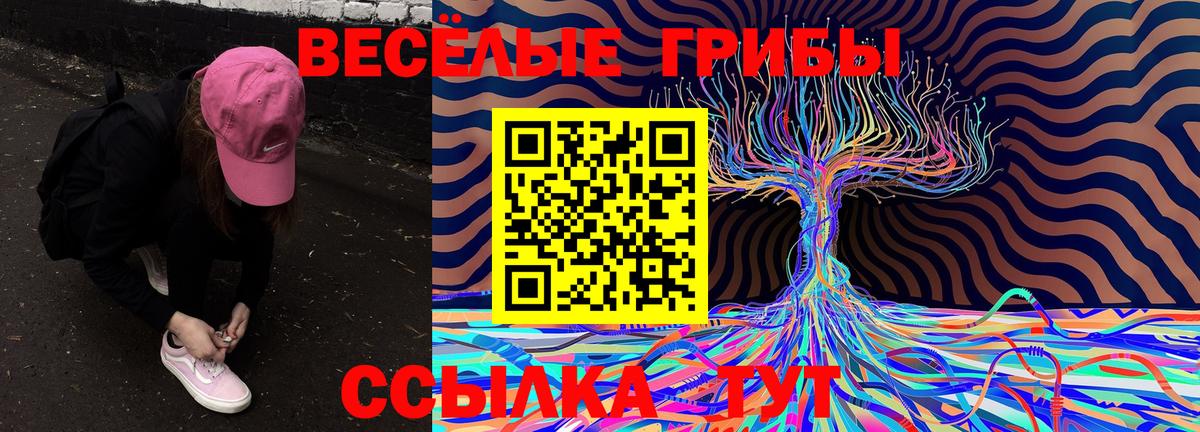 Псилоцибиновые грибы прущие грибы Кызыл